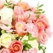 Intimate close-up view of a hand-crafted bouquet featuring an array of roses in creamy white, pale lemon, powdery pink, warm peach, and soft coral, clustered tightly together so that only blooms, foliage, and a pristine white background fill the image. The roses open in graceful, layered spirals, some fully unfurled and others still cupped, giving the arrangement a sense of gentle movement and life. Around and between them nestle frilled heads of light pink carnations, their many ruffled petals creating a soft halo effect and adding to the bouquet's plush, romantic character. Long, narrow leaves in a rich, verdant green weave discreetly through the design, providing refreshing contrast and emphasising the pastel tones. Occasional flower buds appear at different stages of opening, hinting at the bouquet's freshness and the promise of more colour to come. The lighting is clean and diffused, reminiscent of calm daylight falling into a Clerkenwell apartment near Sadler's Wells, highlighting the subtle gradations in each bloom without casting harsh shadows. The overall composition feels both airy and abundant, ideal for marking birthdays, anniversaries, quiet celebrations, or offering gentle comfort during tougher moments. One can easily picture this arrangement arriving via local flower delivery to a converted warehouse studio off St John's Square or a hidden courtyard home by Clerkenwell Green, where its soft tones and tranquil beauty provide a serene focal point in the room, crafted with the practiced eye of a florist who understands the understated elegance favoured in this part of London.