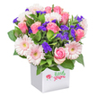 A vibrant and inviting bouquet, designed in the heart of Clerkenwell and presented in a pristine white square container, captures the joyful spirit of neighbourhood celebrations. The arrangement gently bursts with soft, blush-pink gerbera daisies and richly toned pink roses-some emerging as delicate buds, others in full, plush bloom-creating a dynamic display that catches the light beautifully. At the bouquet's center and edges, clusters of deep purple statice flowers add a playful contrast and a hint of wild English meadow charm. Lush green leaves weave between the blossoms, providing depth and a sense of freshness, their shapes reminiscent of foliage found near local parks or along Clerkenwell's leafy avenues. The sleek white box, crafted with minimalist taste, brings a modern flair that mirrors the area's blend of tradition and innovation, while a subtle decoration completes the contemporary look. Each flower is thoughtfully placed, their arrangement evoking feelings of warmth and recognition, ideal for marking cherished milestones-whether a birthday, thank you, or a get-well wish to a friend nearby. This bouquet is more than just a gift; it's a handcrafted moment of colour and care, representing Clerkenwell's commitment to beauty and heartfelt connections through locally delivered blooms.