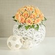 A softly glowing floral centerpiece shows a dome of around two dozen peach and apricot roses, each bloom tightly packed so their spiralling petals form a gentle, rounded crown of colour. The roses shift from deeper, almost golden orange at the centres to paler, creamy peach at the outer edges, giving the whole bouquet a warm, sunrise-like radiance. Threaded delicately between the roses are airy sprays of white baby's breath, their tiny blooms adding a cloud-like halo and lightness to the arrangement. Hints of dark green foliage peek out beneath the flowers, grounding the pastel tones with a natural, garden-fresh depth. All of this is cradled in a striking spherical vase crafted from intricately woven white strands, forming an open lattice that feels both modern and handcrafted, like something you might discover in an independent design shop off Exmouth Market in Clerkenwell. The vase rests on a crisp white tabletop, where two smaller decorative spheres, also woven from pale material and echoing the same open, geometric texture, are placed casually in front. One orb is noticeably larger, the other petite, together creating a relaxed but carefully balanced still-life composition. Behind, a soft beige or greige wall with subtle vertical texture provides a calm, neutral backdrop, so the peach roses and bright white vessel remain the clear focal point. The lighting is gentle and even, like natural daylight filtering through a Clerkenwell studio window, casting faint shadows that emphasise the intricate weaving and velvety petals. The entire scene suggests quiet celebration and contemporary elegance, ideal for a wedding table in a local warehouse venue, an intimate anniversary dinner at home, or refined home styling in a modern London flat.