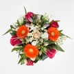 A lively mosaic of blooms springs to life in this bouquet, artfully designed with Clerkenwell's spirited atmosphere in mind. From above, the composition instantly draws the eye to exuberant orange Gerbera daisies, their petals undeniably bright amidst darker-toned roses of deep fuchsia and magenta. The central, soft peach-cream rose provides a point of calm, while delicate white alstroemeria punctuate the arrangement, resting gently at various stages of openness. Billowy white chrysanthemums cluster in between, offering a dreamy, cushion-like texture and subtle contrast. Frames of rich, dark green foliage encase the bouquet, grounding the kaleidoscope of colours and mirroring the greenery lining Amwell Street and the pocket parks of Clerkenwell. The interplay of lush textures and layered tones conveys a sense of joyful celebration and sincere appreciation-perfect for marking special occasions, adding a splash of brightness to a workspace on St John Street, or simply inviting a little more warmth into everyday living. The bouquet's artistry stands as a testament to the attention and care found in each arrangement delivered throughout Clerkenwell.