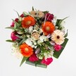 Bursting with vitality, this Clerkenwell-inspired bouquet is a celebration of colour and life, meticulously designed by local hands. At its centre, tangerine-orange Gerbera daisies radiate joyful energy, their bold faces warmed by green-yellow hearts. Creamy peach Gerberas echo this warmth, their deeper burgundy-brown centres adding intrigue much like the rich tapestry of Clerkenwell's art galleries. Nested amid the Gerberas, plush magenta-pink roses and velvety burgundy blooms lend a romantic flourish, while an elegant creamy gold rose anchors the centre with a sense of timeless ease. Vivid hot pink carnations inject lively texture, creating playful movement throughout the arrangement, balanced by delicate clusters of crisp white spray chrysanthemums that lighten the palette. White lily buds, poised and slender, bring an elevated grace that hints at future blossoms and hope, while glossy broad leaves and sprays of silvery eucalyptus add lush structure and cool freshness, reminiscent of the leafy avenues along St John Street. The bouquet's composition is round, hearty, and perfectly calibrated between exuberance and refinement. Crafted to bring warmth, abundance, and the promise of beauty into both celebrations and quiet moments alike, this bouquet is a heartfelt gesture that embodies the modern vibrancy and welcoming spirit of Clerkenwell, making it ideal for sharing joy or gratitude with neighbours and loved ones.