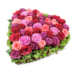 A lush, heart-shaped floral tribute photographed from a gently elevated angle on a crisp white background, the composition bathed in bright, even light that reveals every petal and leaf. At the centre lies a dense, opulent mosaic of garden roses - dozens of blooms pressed together to form the unmistakable heart silhouette. The roses present a rich chorus of colour: deep, velvety crimsons and burgundies mingle with softer blush pinks, brighter fuchsias and occasional deep purplish-magenta blooms, their petals alternately tightly furled or beginning to unfurl in layered, velvet-like spirals. Framing this vivid core is a narrow, living border of fine, deep green foliage - a lacy fringe of textured leaves that might be carnation foliage or similar greenery - which defines the heart's edges and offers a cool contrast to the warm tones inside. Small, dark red or burgundy berries and tiny accent flowers are tucked into the green rim, adding punctuated dots of shadow and extra depth. The surface reads plush and tactile, as if one could rest a hand on the ruffled crowns and sense their soft, classic rose scent. The overall mood balances ardent romance with gentle solemnity, suitable for an intimate anniversary, a heartfelt Valentine's message, or a comforting memorial piece. The clarity of the white backdrop and the studio-like lighting make this design speak directly and simply: an elegant, carefully constructed emblem of love and remembrance, crafted with the confident touch of an experienced florist and intended to convey deep feeling without distraction.