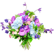 Captured against a clean white background, this lush bouquet showcases a carefully judged mix of texture, colour, and structure that a Clerkenwell florist might create for a stylish apartment overlooking St John's Street. Large, rounded heads of soft sky-blue hydrangea form the base, their countless petals overlapping to create a pillowy, cloud-like effect that feels both soothing and generous. Threaded among these pale blue mounds are vivid purple and magenta orchids-most likely Vanda or Phalaenopsis varieties-each bloom marked by delicate speckles and veining, adding an exotic flair and focal points of intense colour. Reaching up and out from the main cluster, slender stems of deep purple clematis carry star-shaped or gently flaring bell-shaped flowers, introducing height, movement, and a slightly wild, garden-inspired rhythm reminiscent of climbing vines in a tucked-away Clerkenwell courtyard. Tucked in closer to the heart of the bouquet are miniature roses in soft blush pink and creamy white, offering a tender, romantic softness that contrasts with the more dramatic orchids and clematis. Surrounding everything is a generous collar of lush green foliage, its glossy leaves and varied shapes adding depth, freshness, and a natural frame to the blues and purples. The stems are tightly bound at the base, suggesting a freshly prepared, hand-tied design ready for delivery to a creative studio near Exmouth Market or a chic office around Farringdon. Even, diffused lighting brings out every nuance of tone and texture, so the bouquet reads as a refined expression of celebration, gratitude, or quiet admiration, ideal for modern city living in Clerkenwell.