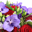 A close-up of this luxurious bouquet reveals a carefully balanced harmony of deep reds and cool purples, as if styled for a romantic evening in a Clerkenwell apartment overlooking the city. Dominating the composition are large Vanda orchids, their petals broad and slightly cupped, washed in shades of lavender, lilac, and intense violet, with intricate darker speckles and veins that lend an almost couture quality. These exotic blooms rise among a bed of velvety crimson red roses, each rose full-headed and tightly coiled at the centre, the outer petals gently unfurling like slow-blooming declarations of love and devotion. Between and around them, royal purple lisianthus flowers add softness, their ruffled petals reminiscent of silk ribbons, while slender buds tipped in bright lime green suggest new beginnings and the freshness of flowers delivered that same day. Rich emerald green foliage surrounds the blooms, hugging them closely and providing a deep, lush contrast that makes the colours appear even more saturated. Delicate chartreuse-green fillers and small green berries peek through the arrangement, adding fine texture and a lively spark that keeps the design from feeling too heavy. Subtle touches of soft white or pale blush petals at the edges bring a whisper of lightness, catching the gentle illumination that bathes the bouquet. The overall mood is opulent and intimate, perfect for celebrating an anniversary dinner near Clerkenwell Green, surprising a loved one working around Farringdon, or simply bringing a sense of refined, romantic indulgence into a local home.