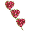 Three sumptuous heart-shaped floral arrangements stretch diagonally across a pristine white backdrop, creating a flowing rhythm from the top left to the bottom right of the image. Each heart is fully packed with roses in a spectrum of romantic reds and joyful pinks, from dark, velvety crimson and classic scarlet to bright fuchsia, coral, and tender blush. The blooms nestle closely together so that almost no space shows between the petals, giving an impression of abundance and unwavering affection. Some roses are tight buds, others are half-open, and a few are in generous full bloom, which adds depth and subtle variation, like different chapters of a shared story. Around and between the hearts, lush green ivy curls and meanders, its trailing stems outlining the curves and then linking one heart to the next. The ivy's glossy leaves bring a refreshing contrast to the softness of the rose petals and help convey a sense of continuity and life carried forward. The overall composition is calm and uncluttered, with the clean white background keeping all attention on the intricate floristry. This style of triple-heart tribute is often chosen in Clerkenwell for farewells and memorials, whether at a quiet local chapel off Rosebery Avenue or a larger service for someone deeply loved in the community. It feels both intimate and dignified, a floral expression of enduring love, shared memories, and the bonds that remain even after goodbye. The arrangement seems ready to be placed beside a casket, at the front of a service, or near a framed photograph, gently holding space for reflection.