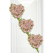 A graceful trio of rose-filled hearts cascades down a white backdrop, forming a tender and sophisticated funeral tribute that appears almost to float in the air. The hearts are arranged one beneath the other on a gentle diagonal, evoking the quiet rhythm of shared memories passing from one generation to the next. Each heart is tightly packed with miniature roses and spray roses, their petals clustered in shades of soft mauve-lavender and delicate blush pink. The blossoms are fresh and full, some fully open to reveal layered centres, others still cupped in bud, adding depth and a sense of time gently unfolding. Encircling every heart, and weaving between them, are slender strands of fresh green ivy. The vines trace the curves with effortless grace, their glossy leaves catching the light as they link the hearts into a single, flowing composition. This natural framework grounds the pastel roses, introducing a vibrant, earthy green that symbolises continuity and renewal. On the left-hand side, faint vertical reflections on the white surface suggest a bright, contemporary space-reminiscent of the light, airy interiors of modern service venues in Clerkenwell, just off streets like St John Street or Clerkenwell Road. The overall mood is one of calm reverence and gentle affection, with soft, diffused lighting that allows every petal and leaf to be clearly seen without harsh contrast. This cascading heart arrangement would be a poignant choice for a memorial or celebration of life, especially where the family wishes to convey lasting love, unity, and the enduring ties that hold a Clerkenwell family close even in moments of goodbye.