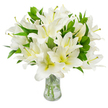 A generous cluster of pristine white lilies fills the frame, each blossom layered with broad, velvety petals that unfurl like satin shells. The petals are a luminous, clean white, softening into a faint cream and pale yellow-green at each throat, where long, graceful stamens extend outward on pale filaments capped with earthy brown anthers. The contrast of warm anther tones against the pure white petals gives the bouquet a quiet, intricate beauty. Rich, lance-shaped leaves in a deep, glossy green weave through the arrangement, their cool, waxy texture accentuating the lilies' delicate softness. The stems are neatly gathered and submerged in clear water inside a transparent glass vase with a gently flared neck and a stable base; the water catches the light and reveals the pale green stems descending into the vase with understated elegance. Photographed against an immaculate white backdrop and bathed in soft studio light, the arrangement reads as both contemporary and timeless, every bloom appearing at peak freshness as if just cut from a morning harvest. There is a subtle, sweet floral scent implied by the composition, a calming perfume that would quietly fill a small room. This bouquet conveys purity, peace, and thoughtful reflection-an image well suited to occasions that require gentle dignity, whether a memorial service in nearby Spa Fields or a serene centrepiece for a small, intimate dinner. A seasoned florist's hand is evident in the balance and fullness of the display, where technical care and emotional intention meet to create a composition of tranquil beauty ready for delivery across Clerkenwell and adjacent streets.