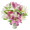 A lush, full bouquet of oriental lilies fills the frame, the composition centred on a harmonious blend of creamy off-white and deep fuchsia blooms set against a crisp white background. Many lilies are fully open, their broad, silky petals curving back to reveal trumpet-like centres and slender stamens tipped with pale anthers and a hint of pollen, while others remain elegant elongated buds, promising a staggered unfolding over days. The white flowers carry a soft cream tone with subtle yellow-green throats, which catch the bright, even studio light and create a gentle inner glow; the magenta to fuchsia lilies show velvety petal texture with lighter veins and occasional creamy cores that add depth and contrast. Dark green, lance-shaped foliage threads through the arrangement, its glossy blades forming sculptural lines that lift and frame the blooms. The stems sit in a simple clear glass vase visible at the image base, the transparency giving a calm glimpse of neatly trimmed green stems and clean water that underscores the flowers' freshness. There is an implied soft, sweet perfume, like a spring morning drifting through an open Clerkenwell window near Exmouth Market, evoking celebrations, thoughtful gifting, or a peaceful table centrepiece. As a florist would explain, this arrangement balances long-lasting buds with immediately showy blossoms, making it ideal for birthdays, anniversaries, or a Mother's Day surprise delivered within the Clerkenwell neighbourhood and to nearby Bloomsbury and Farringdon streets.