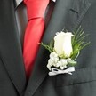 A sharply focused close-up captures a groom's boutonniere pinned to the left lapel of a deep charcoal grey suit, the kind you might see on a wedding morning in Clerkenwell as the sun spills across Exmouth Market. The fabric of the jacket looks like a fine wool blend, with precise stitching tracing the lapel edge and a neatly set welt pocket just below, hinting at meticulous tailoring. Beneath the jacket, a pale dress shirt with a subtle, small-scale check or grid pattern softens the look, its cool tones providing a gentle backdrop. Cutting cleanly through these neutrals, a smooth, satin-finished red tie glows in the centre of the frame, its knot perfectly aligned, adding a bold, confident note. Nestled close to the lapel, the boutonniere itself becomes the quiet star of the image. A single creamy white rosebud, petals tightly furled yet plush and velvety, suggests freshness and promise, as if cut only hours earlier by an experienced florist nearby. Around the rose, tiny white blossoms of baby's breath gather in a delicate halo, each airy floret contributing to a cloudlike softness. Wisps of bright green foliage arc outward, some fine and feathery, others broader and richer in tone, cradling the flowers with a natural, slightly untamed grace. At the base, a slim white satin ribbon is tied into a precise little bow, securing the stems and giving the arrangement a polished, ceremonial finish. The lighting is gentle and even, allowing every texture-the rose's smooth petals, the crisp suit cloth, the glossy tie-to be clearly felt, conveying poise, romance, and the quiet anticipation that surrounds a wedding or gala in this part of London.