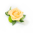 A small, meticulously arranged boutonniere sits against a clean white backdrop, the lighting crisp so every petal and pearl reads clearly. At its centre rests a full, pale peach rose-softly layered petals unfurling from a tighter, slightly deeper-hued heart into milky apricot outer petals that catch a gentle sheen. Beside and a little below the rose, a lively lime-green button chrysanthemum forms a neat, textural counterpoint; its tiny, compact florets create a cushiony, almost moss-like surface that brightens the composition. Deep green ruscus leaves form a sturdy, glossy base, their smooth surfaces grounding the piece while slender, variegated leaves with paler stripes curl elegantly around the bloom to add rhythm and sculptural movement. From the lower right, a short strand of lustrous white faux pearls drapes like a soft ribbon, bringing a classic, bridal touch and a subtle reflective highlight under the studio light. The overall palette-peach, lime, and rich foliage-reads fresh and celebratory, suited to weddings, proms, or formal events where refined detail matters. Texturally the piece balances the rose's velvety softness against the chrysanthemum's compact texture and the cool, smooth beads; one can almost imagine the faint scent of rose and the whisper of foliage. As a local florist's sample from Clerkenwell, this accessory would pair naturally with ivory dresses or charcoal suits for a quiet, elegant statement at ceremonies held near Exmouth Market or St. John's Square.