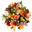 A radiant, close-up portrait of a hand-tied autumn bouquet, seen from slightly above against a crisp white backdrop so every colour reads clearly. At its heart several large, fully opened orange lilies - trumpet-shaped, satiny petals cupped like little suns - reach upward, their stamens recessed within warm folds. Around them, bright pumpkin-orange Gerbera daisies and rich burgundy-red Gerberas form sun-like faces with dark centres, their flat, ray-like petals creating energetic rhythm across the composition. Small clusters of creamy white Lisianthus (Eustoma) with softly ruffled edges nestle between the bolder blooms, their gentle texture offering calm, cool contrast. Muted purple, star-like Astrantia punctuates the bouquet with delicate, spiky clusters that add lace-like intricacy and visual airiness. Tightly furled lily buds in pale orange and fresh green sit promisefully among glossy green foliage and slender stems, lending depth and the quiet expectation of new blooms. Large, lobed oak-like leaves in warm reddish-brown are artfully placed to echo fallen autumn foliage, their veins and lobed silhouettes enhancing the seasonal story. The lighting is bright and even, making petals glow and shadows soft, while the arrangement's dense, rounded shape reads lush and abundant. There is a subtle suggestion of scent - warm, floral and slightly green - and a tactile sense of silky petals and crisp leaves. This bouquet feels like a pocket of October warmth, ideal for a cosy home table or seasonal gift, its colours and textures crafted with the careful eye of a florist who knows how to balance vibrancy with quiet detail.