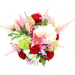 A richly detailed, top-down photograph reveals a luxurious mixed bouquet, isolated against a brilliant white background so that every colour and petal stands out with clarity, as if resting on a florist's table in Clerkenwell. At the core of the arrangement, several deep red roses create an intense focal point, their velvety petals folded inward in tight spirals that seem to radiate warmth, devotion, and classic romance. Dancing between these roses, pink stargazer lilies arc gracefully outward, some fully open to show star-shaped petals dusted with darker freckles, others still closed in sleek buds poised to bloom over the coming days, adding a sense of time and unfolding beauty. Surrounding these feature blooms, ample clusters of creamy white hydrangeas form a generous, cloud-like base, their soft, ruffled petals giving the bouquet a pillowy volume and an impression of abundance. Nestled thoughtfully among them, bright lime-green Green Trick dianthus or pom-pom chrysanthemums appear as soft, mossy spheres, lending an unexpected, contemporary texture that contrasts with the smooth roses and silky lilies. From the upper edges of the bouquet, airy sprays of pale pink astilbe extend like gentle feathers, adding movement and a dreamy, romantic outline. Smaller filler flowers in shades of lavender, soft pink, and white peek out here and there, enhancing the richness without overwhelming the design. The whole composition is wrapped in deep, glossy green leaves and lighter fern-like fronds, providing depth, structure, and a natural frame. This bouquet feels perfectly suited to a romantic celebration in Clerkenwell, a stylish loft gathering, or a heartfelt same-day delivery to convey love, congratulations, or appreciation.