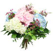 A hand-tied bouquet of pastel hydrangeas is captured against a crisp white background, every detail illuminated as though in the calm light of a Clerkenwell loft. The composition centres on large, rounded hydrangea heads, their petals forming dense clusters in shades of blush pink, pale sky blue, and warm ivory. These cloud-like domes are so full and layered that they appear almost billowy, inviting the fingertips to trace their soft, velvety surfaces. Breaking through the gentle pastels are fine stems of deep fuchsia filler flowers, similar to waxflower, their tiny, starry blooms peeking out playfully between the hydrangeas and adding a scattering of more vivid colour. Surrounding the flowers is a collar of lush greenery: broad, dark green hydrangea leaves with a slight gloss lend structure and depth, while smaller, lighter green leaves soften the outline, giving the bouquet a fresh-from-the-garden authenticity. The stems are visible at the base, carefully aligned and tied in the traditional hand-tied style, ready to slip into a favourite vase on a Clerkenwell windowsill overlooking leafy courtyards. Even, diffused lighting ensures there are no harsh shadows, allowing the soft gradients of colour-from near-white petal tips to more saturated centres-to shine through. The overall feeling is one of gentle romance and quiet reassurance, making this bouquet ideal for celebrating new chapters, lifting a friend's spirits, or bringing a refined, floral accent to homes and studios around Clerkenwell's design-led streets.