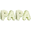 A tender, dignified memorial piece spelling out the word PAPA in four bold, uppercase letters, each lovingly formed from dense clusters of pristine white spray chrysanthemums. The blooms are tightly packed to create a soft, slightly domed surface across every character; their ruffled petals catch a cool, even light against a pure white background so the letters read with calm clarity. Along the edges, a pale lime-green ribbon - folded and subtly pleated - traces each letter, its gentle ripple adding a fresh, natural frame that lifts the white blooms and defines every curve and serif. Small hints of light green foliage peek between the flowers, giving a quiet depth and the sense of a living texture rather than a flat sign. Up close you can imagine the soft, powdery scent of chrysanthemums and the delicate resilience of stems bound to preserve the composition during a funeral or graveside service. The overall mood is one of peaceful reverence: white for purity and remembrance, green for renewal and gentle comfort. Crafted with measured precision, this arrangement reads as a personal family tribute - perfect for honouring a father or grandfather at a chapel near Exmouth Market, a memorial at St John's Street, or a service in the Farringdon area. The piece balances technical skill and intimate sentiment, offering a quiet, tactile way to say farewell and to hold memory with grace during times of loss in the Clerkenwell neighbourhood.