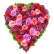 Viewed from directly overhead, this is a lush, heart-shaped floral tribute formed entirely of fresh, fully opened roses whose velvety faces create a continuous carpet of petals. The palette reads as a heartfelt gradient: deep burgundy and classic crimson anchor the composition, while coral blushes, soft pastel pinks and vibrant magenta threads carry the eye inward; touches of lavender, mauve and richer plum provide cool, elegant accents that lift the warmth of the reds. Each bloom sits tightly against its neighbour so the heart reads as a single textured surface, the layers of petals catching a soft, diffused light that suggests morning or late-afternoon illumination - just enough to make the velveteen surfaces glow without harsh shadow. Around the perimeter, a thin halo of dark green, moss-like foliage - fine, springy and almost grass-like - frames the silhouette and offers a quiet contrast that feels both natural and refined. The overall effect is tactile and scented in imagination: the earthy, sweet perfume of roses mingling with the green, almost damp scent of the border, evoking comfort, devotion and gentle remembrance. This arrangement is crafted with symmetry and density to communicate strong emotion - romantic devotion or solemn tribute - equally suitable for anniversaries, Valentine's celebrations, Mother's Day, or as a dignified memorial piece. As a florist familiar with Clerkenwell and nearby Spa Fields and Exmouth Market, I picture this heart placed on a white-clothed table or a simple easel outside St John's Square, where its colours will read clearly against urban stone and bring a moment of quiet beauty to the neighbourhood.