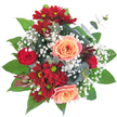 Cradled against a pure white backdrop, this hand-tied bouquet reads like a miniature garden caught at its most generous moment. Two large peach-apricot roses form the warm centre, their petals unfurling in soft spirals with faint blushes of pink at the edges, while a single smaller classic red rosebud peeks through, introducing a note of passionate depth. Around them, deep crimson chrysanthemums - almost burgundy - carry unexpectedly bright lime-green centers that catch the eye and lift the palette, their daisy-like faces adding an energetic, almost playful rhythm. Fine clouds of white baby's breath (Gypsophila) drift between the blooms, softening the composition with a lacy, breathy texture and creating quiet pockets of light. Beneath and between the flowers, broad glossy green leaves provide structure and contrast, while silvery-green eucalyptus stems add modern coolness with their rounded leaves and a faint, clean fragrance. A single dark burgundy spiky bloom - suggestive of a Protea or exotic bud - introduces dramatic texture and a touch of the unexpected, anchoring the bouquet's silhouette. The arrangement is densely packed and circular, designed to read as abundant when placed on a mantelpiece or central table, and its scent is gently rosy with green, earthy undertones. As a florist who often sources seasonal stems from nearby Leather Lane market and prepares pieces for neighbourhood deliveries, I see this as a joyful choice for anniversaries, birthdays, or simply to brighten a Clerkenwell flat with an elegant, tactile display of colour and craftsmanship.