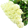 A large, carefully crafted bouquet of white roses dominates the scene, each blossom positioned so closely that the flowers seem to form one continuous, luxurious cushion of petals. The roses range from tight buds with refined, pointed tips to fully opened flowers whose petals unwind in perfect, velvety spirals. Their colouring is a soft, creamy white with hints of ivory at the base of each petal, giving the bouquet a gentle warmth rather than a stark, cool tone. Around the blooms, rich green leaves emerge at the base and edges, slightly softened by the light, adding depth and providing a vivid contrast that sets off the purity of the roses. The background is clean and bright, likely a white or very pale surface, which makes the bouquet appear as if it is floating in clear daylight-much like an arrangement resting on a windowsill in a Clerkenwell apartment. The lighting is even and flattering, catching subtle highlights on the petals and revealing the natural texture and thickness of each layer. Although the image is silent, it suggests a mild, fresh fragrance, the classic scent of white roses that can fill a room without overwhelming it. This style of bouquet would feel at home in many of the occasions that shape local life: carried along Clerkenwell's streets for a wedding, delivered as an anniversary surprise to an EC1 office, or placed gently as a sympathy tribute. The design is understated yet undeniably luxurious, its simplicity allowing every bloom to speak of purity, respect, and enduring affection, as though each rose has been chosen with particular care for the moment it will mark.